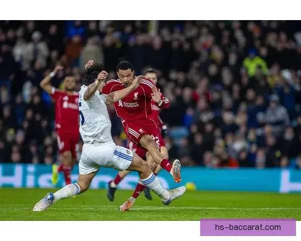 加克波拉起倒地科尔克茨利物浦球员赛后握手彰显体育精神温情瞬间